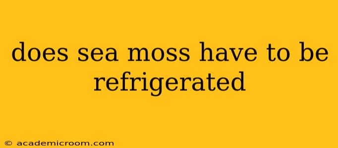 does sea moss have to be refrigerated