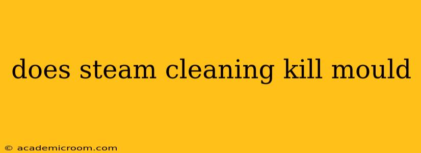 does steam cleaning kill mould