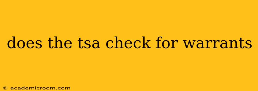 does the tsa check for warrants