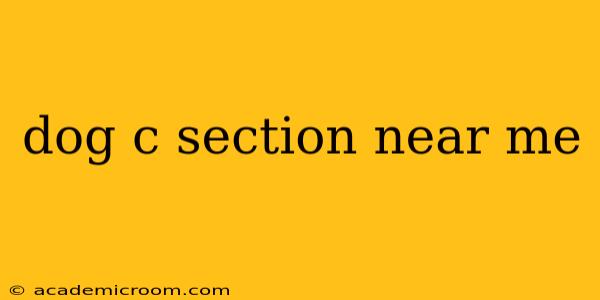 dog c section near me