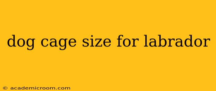 dog cage size for labrador