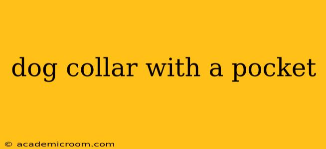 dog collar with a pocket