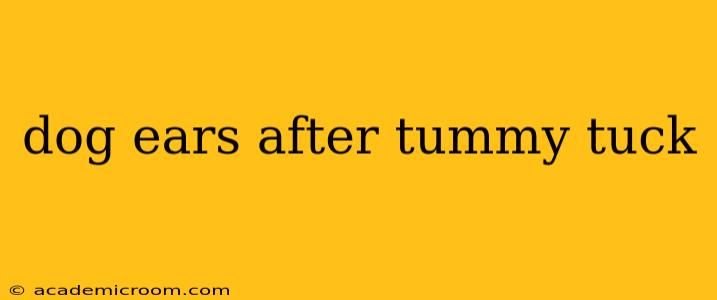 dog ears after tummy tuck