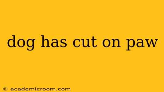 dog has cut on paw