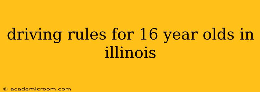 driving rules for 16 year olds in illinois