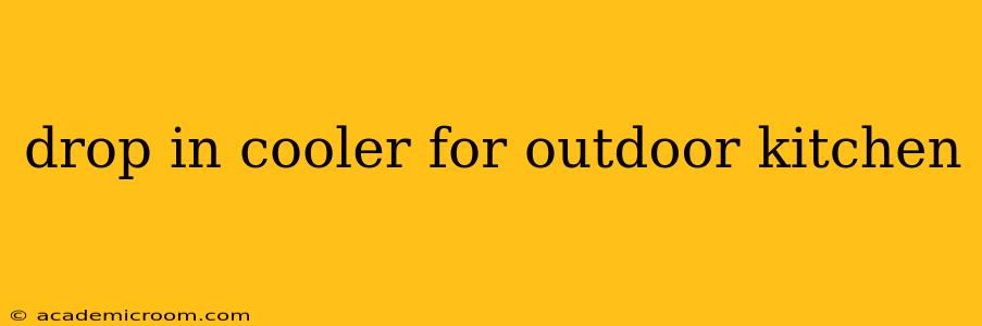 drop in cooler for outdoor kitchen