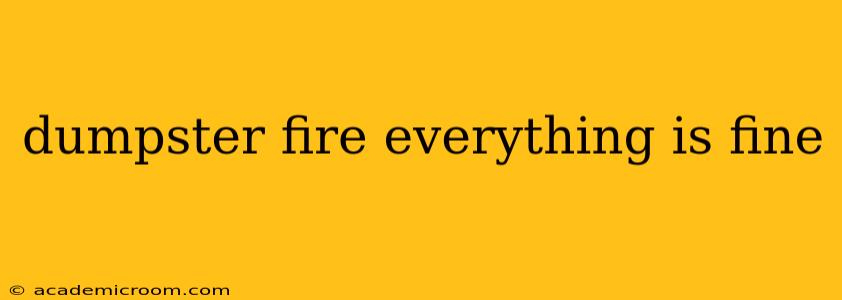 dumpster fire everything is fine