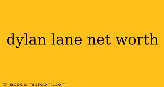 dylan lane net worth
