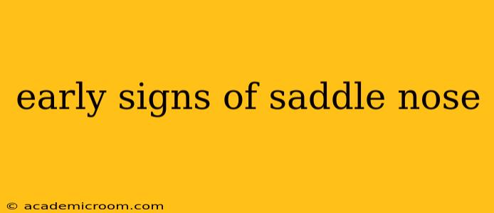 early signs of saddle nose