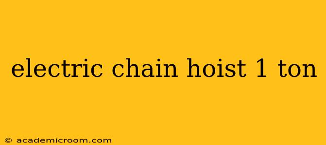 electric chain hoist 1 ton