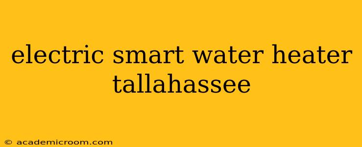 electric smart water heater tallahassee