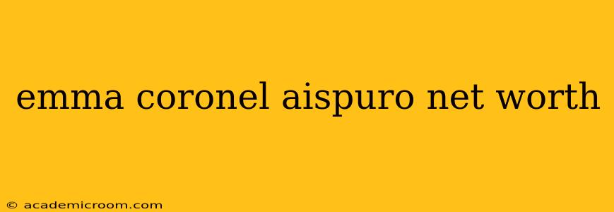 emma coronel aispuro net worth