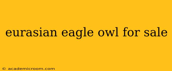 eurasian eagle owl for sale