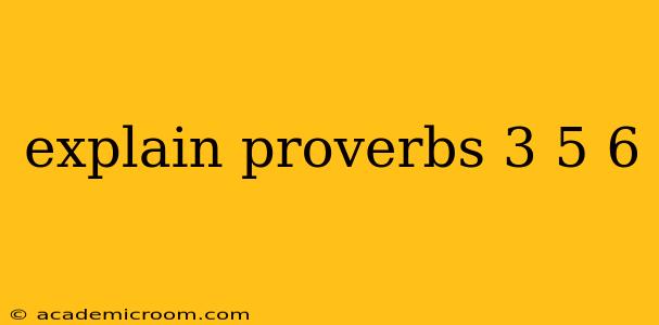 explain proverbs 3 5 6