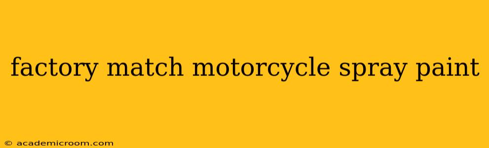 factory match motorcycle spray paint