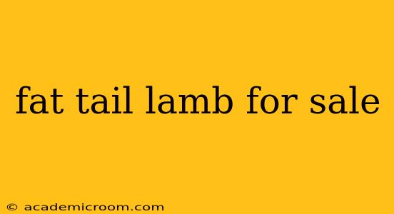 fat tail lamb for sale