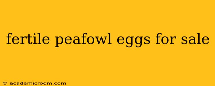 fertile peafowl eggs for sale