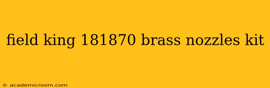 field king 181870 brass nozzles kit