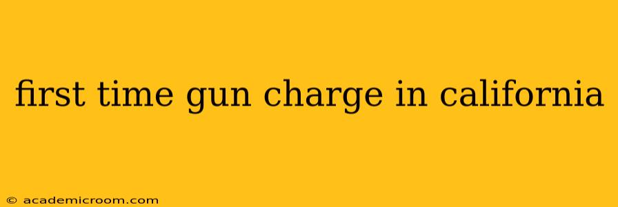 first time gun charge in california