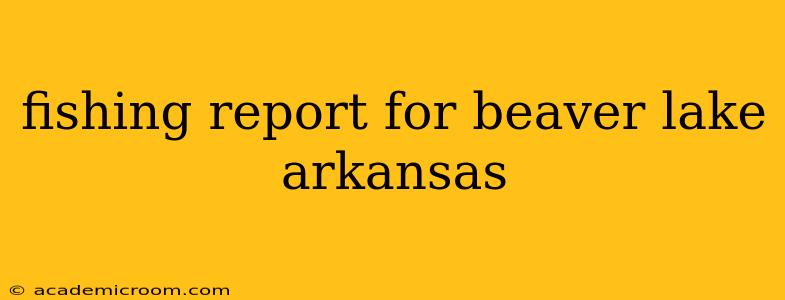 fishing report for beaver lake arkansas