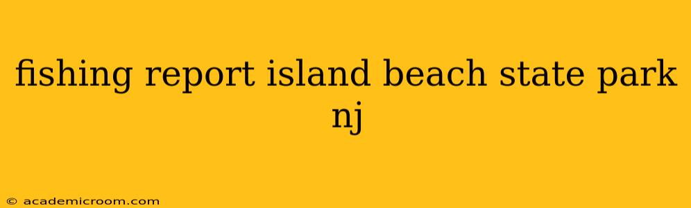 fishing report island beach state park nj