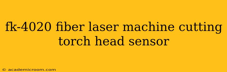 fk-4020 fiber laser machine cutting torch head sensor