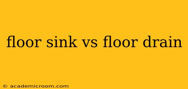 floor sink vs floor drain
