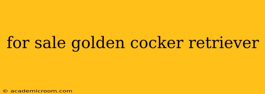 for sale golden cocker retriever