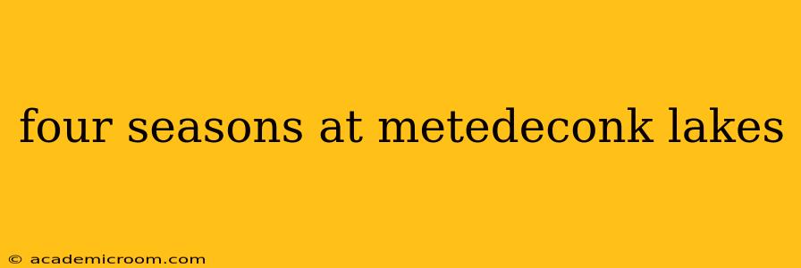 four seasons at metedeconk lakes