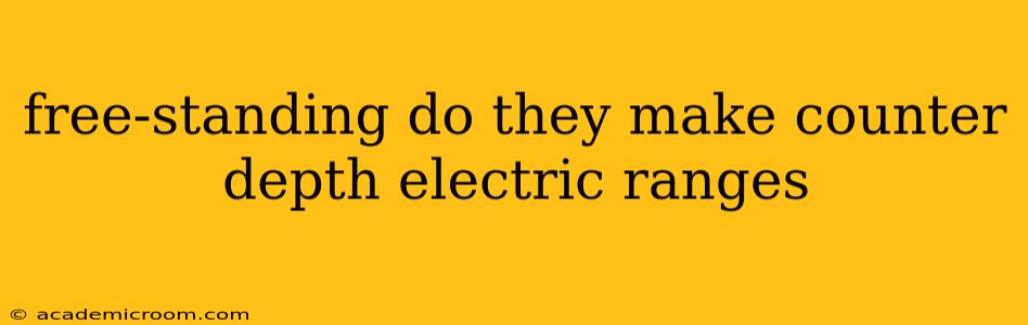 free-standing do they make counter depth electric ranges