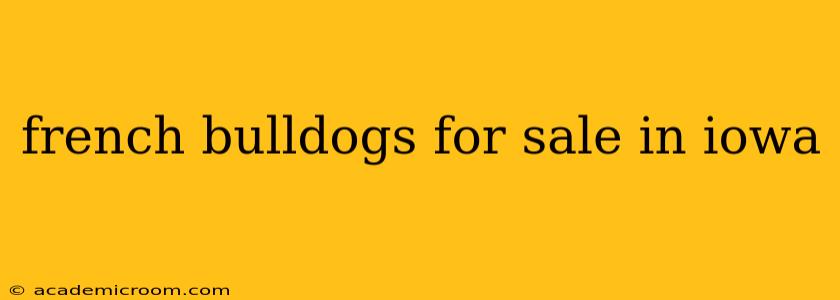 french bulldogs for sale in iowa