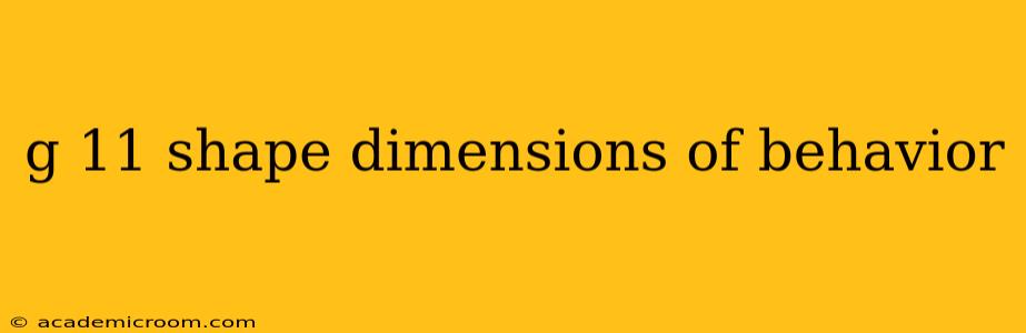 g 11 shape dimensions of behavior