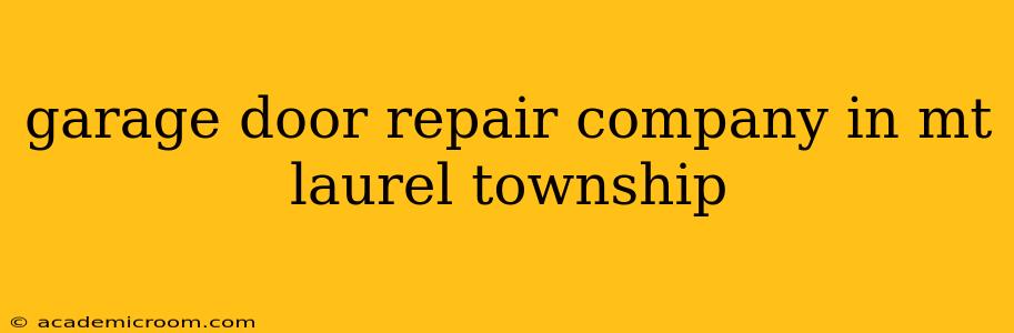 garage door repair company in mt laurel township