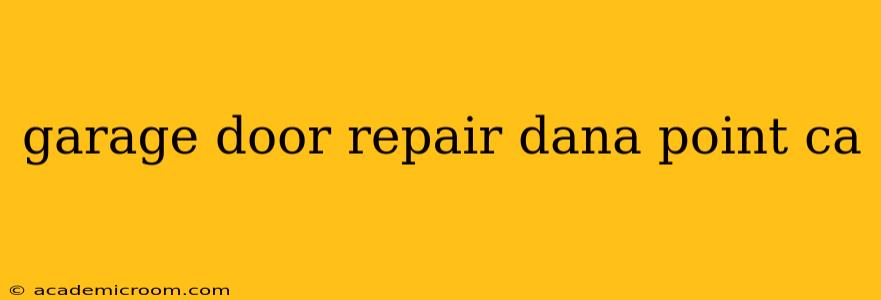 garage door repair dana point ca