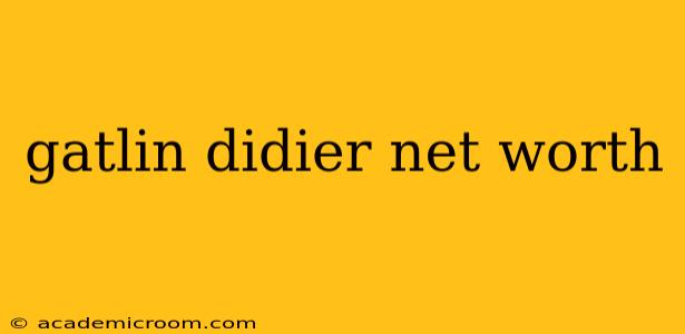 gatlin didier net worth