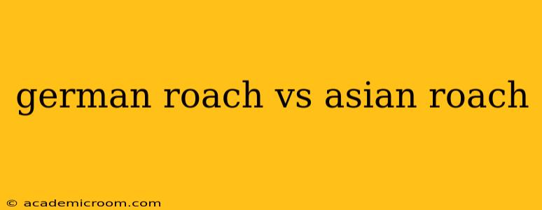german roach vs asian roach