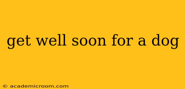 get well soon for a dog