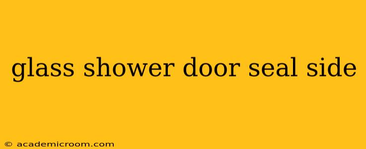 glass shower door seal side