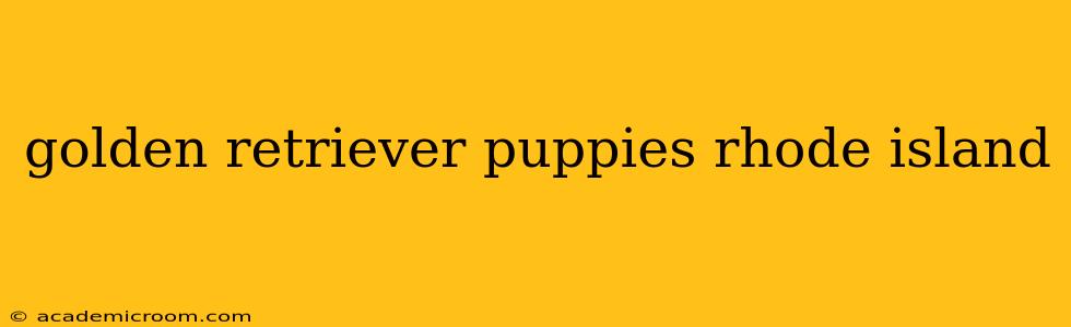 golden retriever puppies rhode island