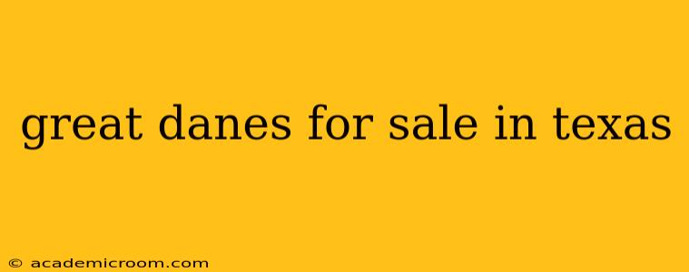 great danes for sale in texas
