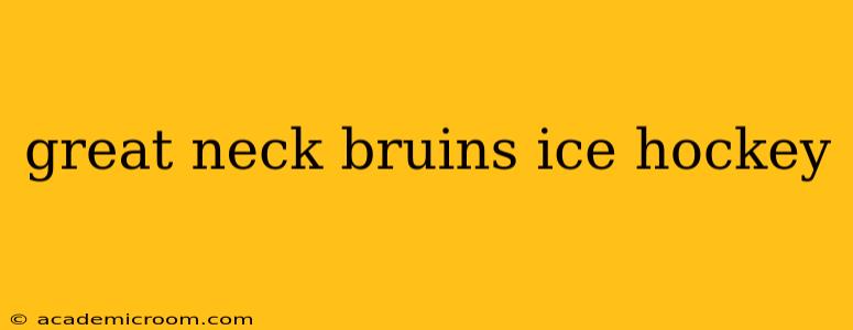 great neck bruins ice hockey