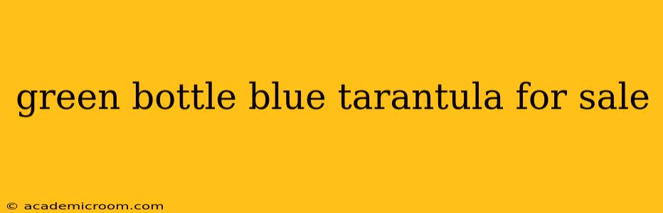 green bottle blue tarantula for sale