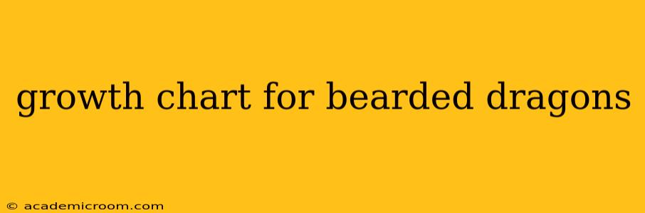 growth chart for bearded dragons