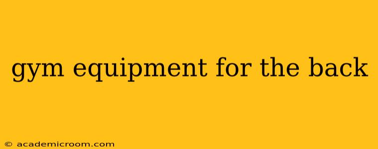gym equipment for the back