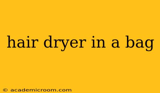 hair dryer in a bag