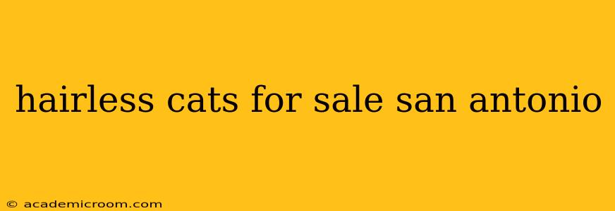 hairless cats for sale san antonio