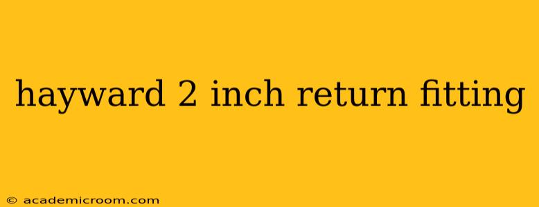 hayward 2 inch return fitting