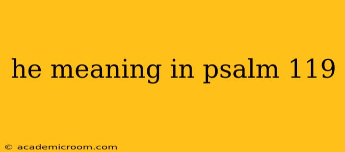 he meaning in psalm 119