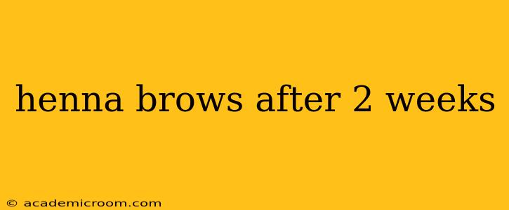 henna brows after 2 weeks