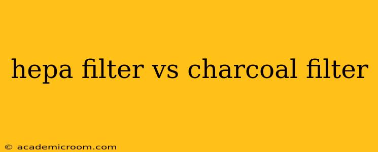 hepa filter vs charcoal filter
